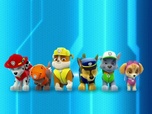 Paw Patrol, la Pat'Patrouille