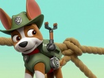 Paw Patrol, la Pat'Patrouille