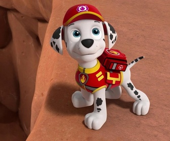 Paw Patrol, la Pat'Patrouille - Les aventurières du ciel