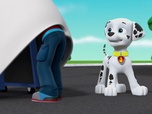 Paw Patrol, la Pat'Patrouille