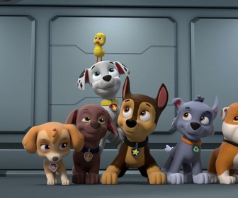 Paw Patrol, la Pat'Patrouille - Mission camion : Panique sur l'autoroute