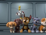 Paw Patrol, la Pat'Patrouille Paw Patrol, la Pat'Patrouille