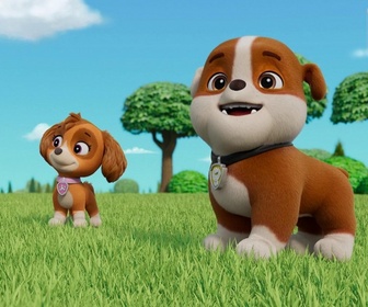 Paw Patrol, la Pat'Patrouille - Des chèvres en danger