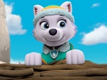 Paw Patrol, la Pat'Patrouille