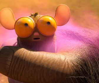 Les as de la jungle à la rescousse - 26/01/2026