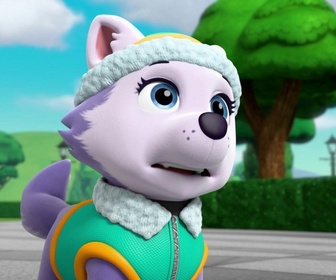 Paw Patrol, la Pat'Patrouille - La bonne vieille source
