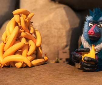 Les as de la jungle à la rescousse - 22/01/2026