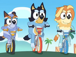 Bluey Bluey