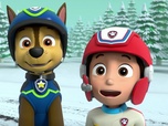 Paw Patrol, la Pat'Patrouille