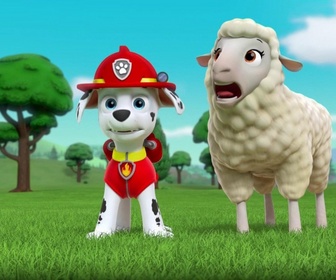Paw Patrol, la Pat'Patrouille - Les mésanges charbonnières