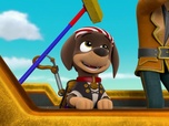 Paw Patrol, la Pat'Patrouille