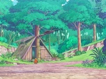 Pokémon Pokémon