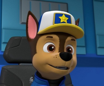 Paw Patrol, la Pat'Patrouille - Mission camion : Le chalet snowboarder