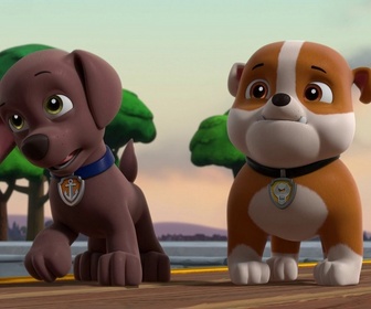 Paw Patrol, la Pat'Patrouille - Mission Chevaliers : La fumée enchantée