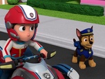 Paw Patrol, la Pat'Patrouille