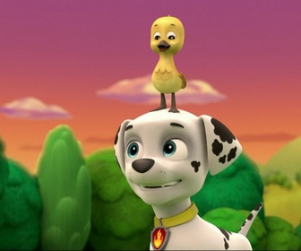 Paw Patrol, la Pat'Patrouille - L'oison