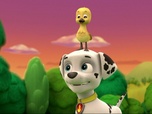 Paw Patrol, la Pat'Patrouille