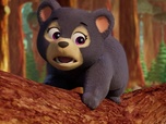 Paw Patrol, la Pat'Patrouille