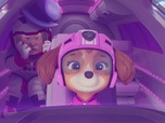 Paw Patrol, la Pat'Patrouille