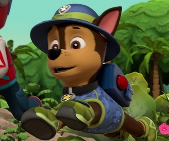 Paw Patrol, la Pat'Patrouille - Une bulle dans la jungle