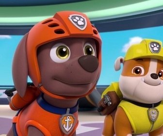 Paw Patrol, la Pat'Patrouille - Digi et Tal, les robots assistants