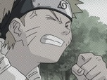 Naruto Naruto