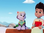 Paw Patrol, la Pat'Patrouille Paw Patrol, la Pat'Patrouille