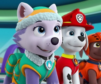 Paw Patrol, la Pat'Patrouille - La moufette