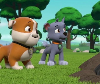 Paw Patrol, la Pat'Patrouille - Mission camion : Panique sur l'autoroute