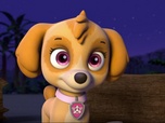 Paw Patrol, la Pat'Patrouille