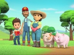 Paw Patrol, la Pat'Patrouille