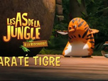 Les as de la jungle à la rescousse