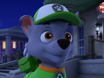 Paw Patrol, la Pat'Patrouille