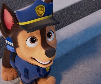 Paw Patrol, la Pat'Patrouille - Mission Détectives : La disparition des chatons