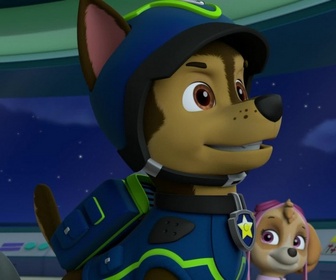 Paw Patrol, la Pat'Patrouille - Un cargo en danger