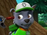 Paw Patrol, la Pat'Patrouille