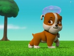 Paw Patrol, la Pat'Patrouille Paw Patrol, la Pat'Patrouille