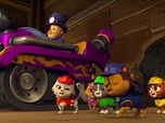 Paw Patrol, la Pat'Patrouille