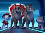 Paw Patrol, la Pat'Patrouille
