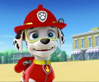 Paw Patrol, la Pat'Patrouille - L'épreuve du feu de Marcus
