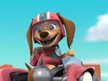 Paw Patrol, la Pat'Patrouille Paw Patrol, la Pat'Patrouille