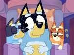 Bluey Bluey