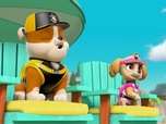 Paw Patrol, la Pat'Patrouille