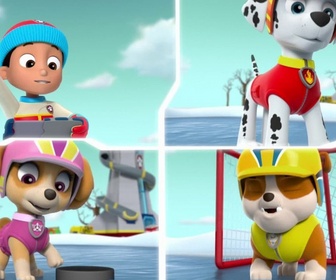 Paw Patrol, la Pat'Patrouille - Danny et l'ours