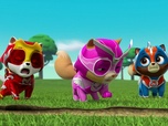 Paw Patrol, la Pat'Patrouille