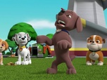 Paw Patrol, la Pat'Patrouille