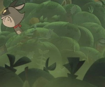 Taffy - Le roi Kahuna Raccoona