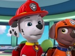 Paw Patrol, la Pat'Patrouille