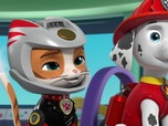 Paw Patrol, la Pat'Patrouille