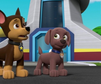 Paw Patrol, la Pat'Patrouille - Travis l'apprenti fermier